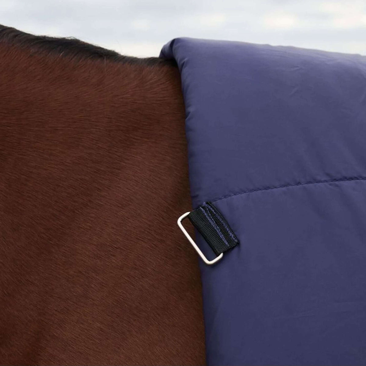 WeatherBeeta ComFiTec Plus Dynamic Turnout High Neck 100g Navy/Forest Green