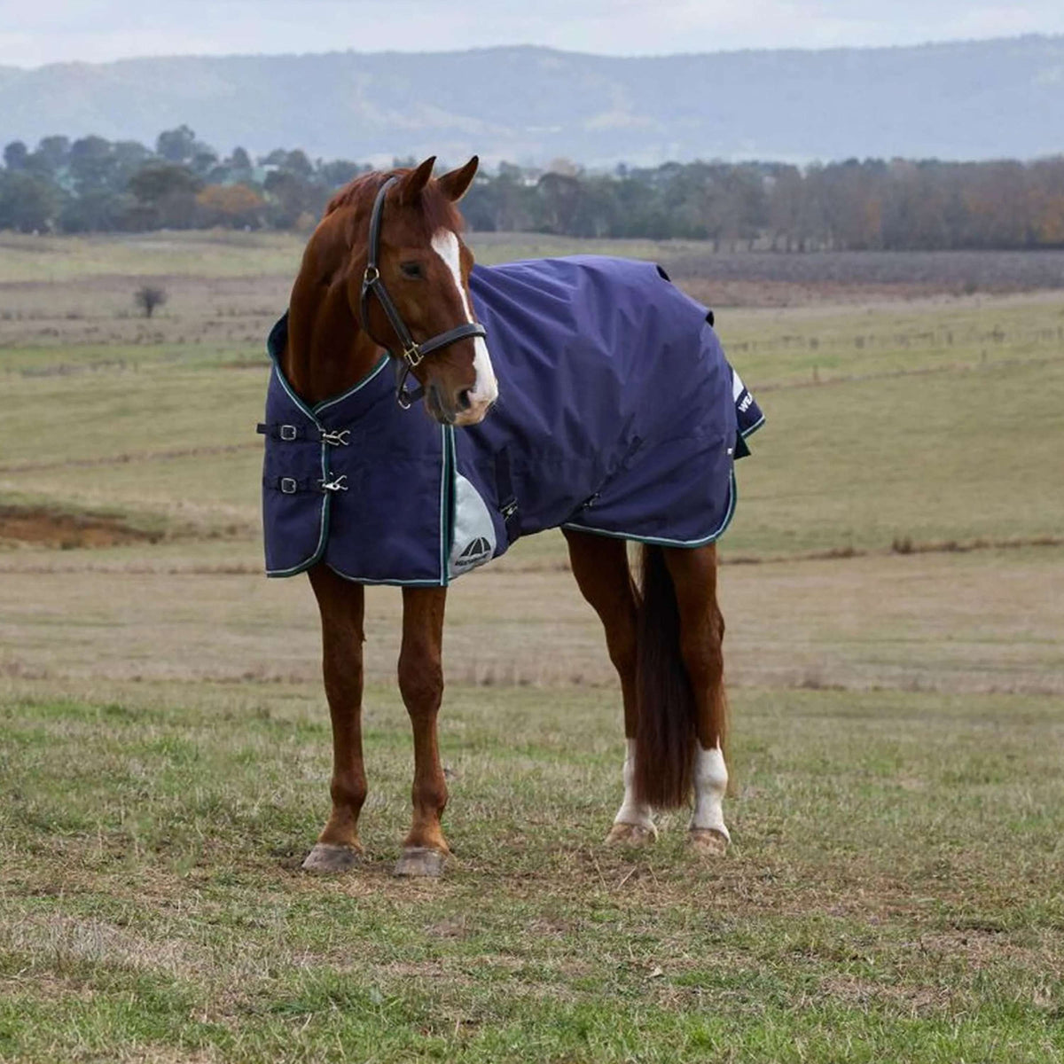 WeatherBeeta ComFiTec Plus Dynamic Turnout 100g Navy/Forest Green