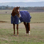 WeatherBeeta ComFiTec Plus Dynamic Turnout 100g Navy/Forest Green