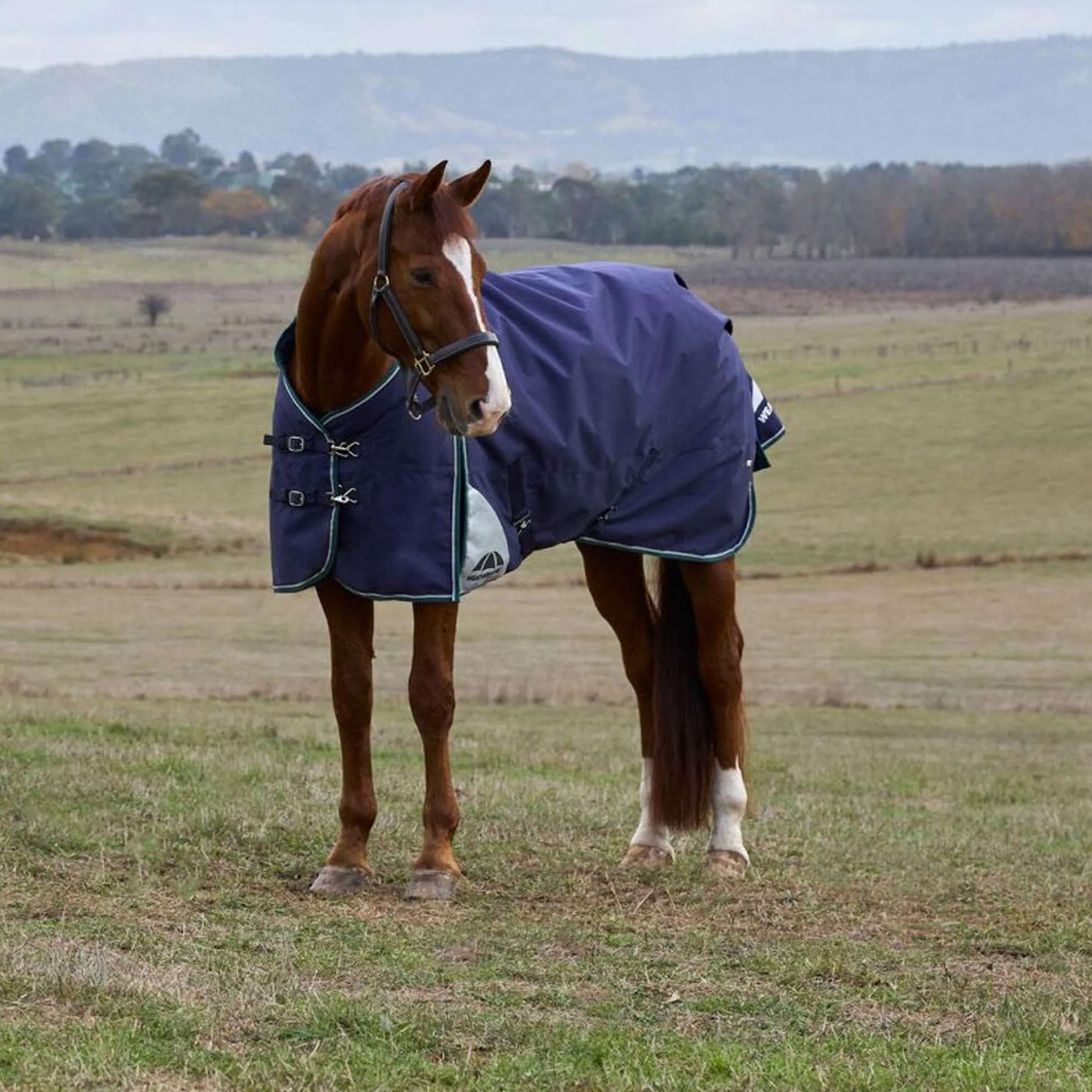 WeatherBeeta ComFiTec Plus Dynamic Turnout 100g Navy/Forest Green