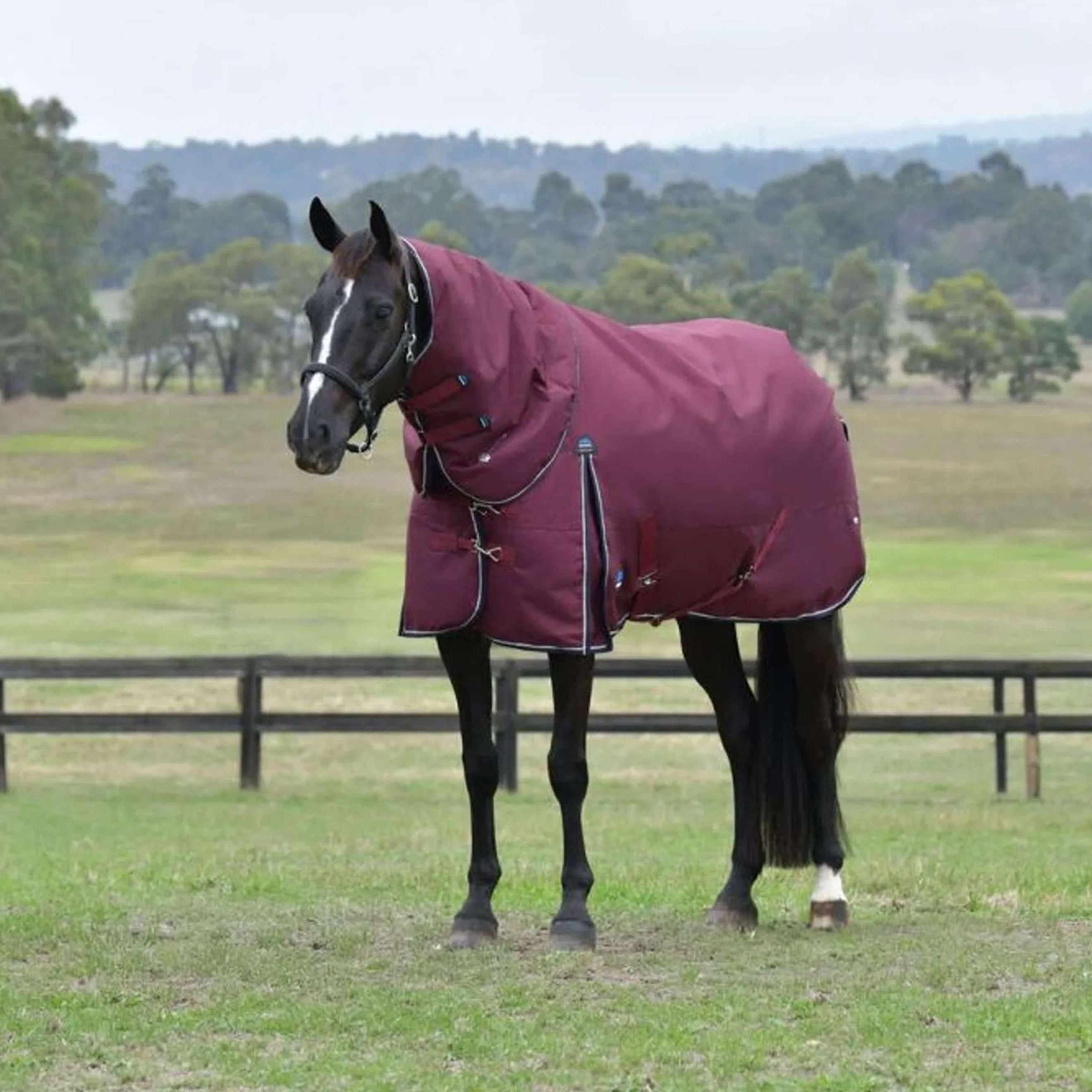 WeatherBeeta ComFiTec Essential Turnout Detach-A-Neck 50g Bourgogne/Marine