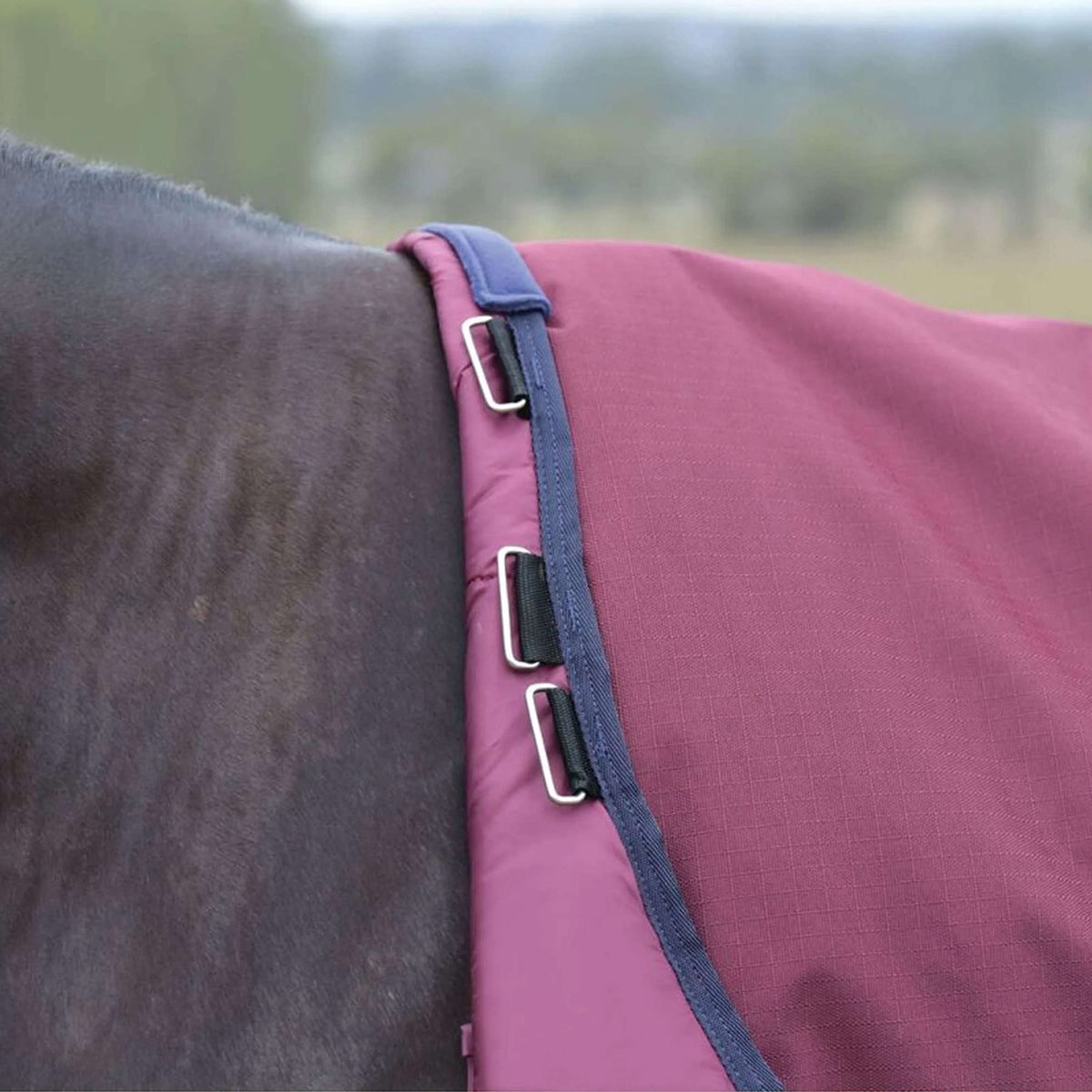 WeatherBeeta ComFiTec Essential Turnout Detach-A-Neck 50g Bourgogne/Marine