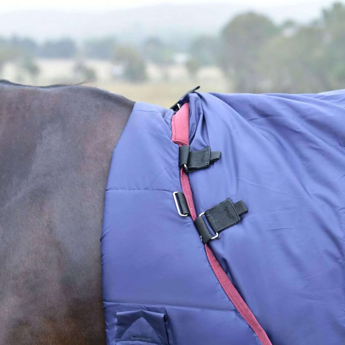 WeatherBeeta ComFiTec Essential Turnout Detach-A-Neck 50g Marine/Bordeaux