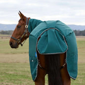 WeatherBeeta ComFiTec Classic Turnout Combo 50g Forest Green/Black