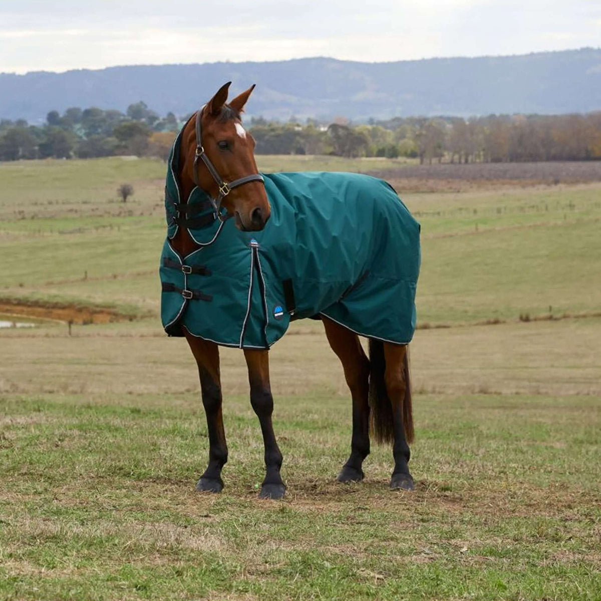 WeatherBeeta ComFiTec Classic Turnout Combo 50g Forest Green/Black