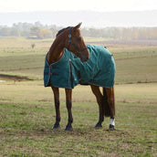 WeatherBeeta ComFiTec Classic Turnout 220g Forest Green/Black