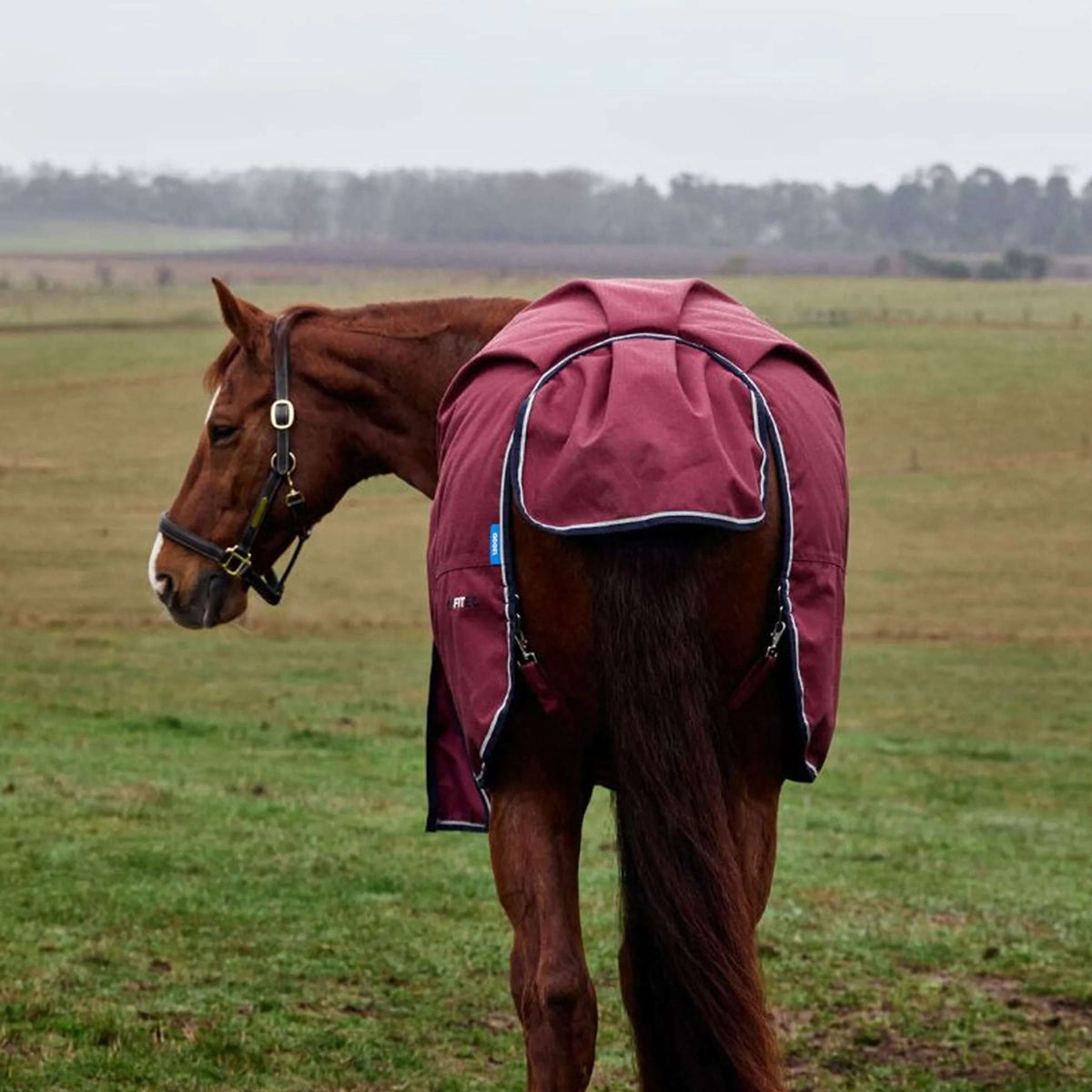 WeatherBeeta ComFiTec Prelim Turnout 0g Bourgogne/Marine