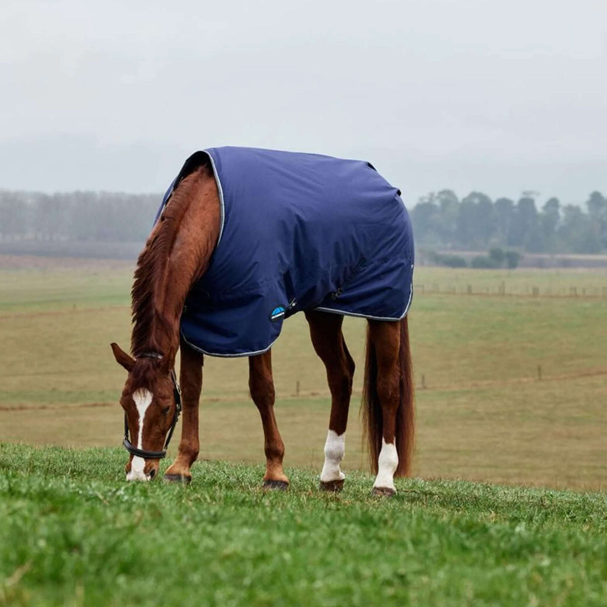 WeatherBeeta ComFiTec Tyro Turnout Standard Neck 220g Navy/Charcoal