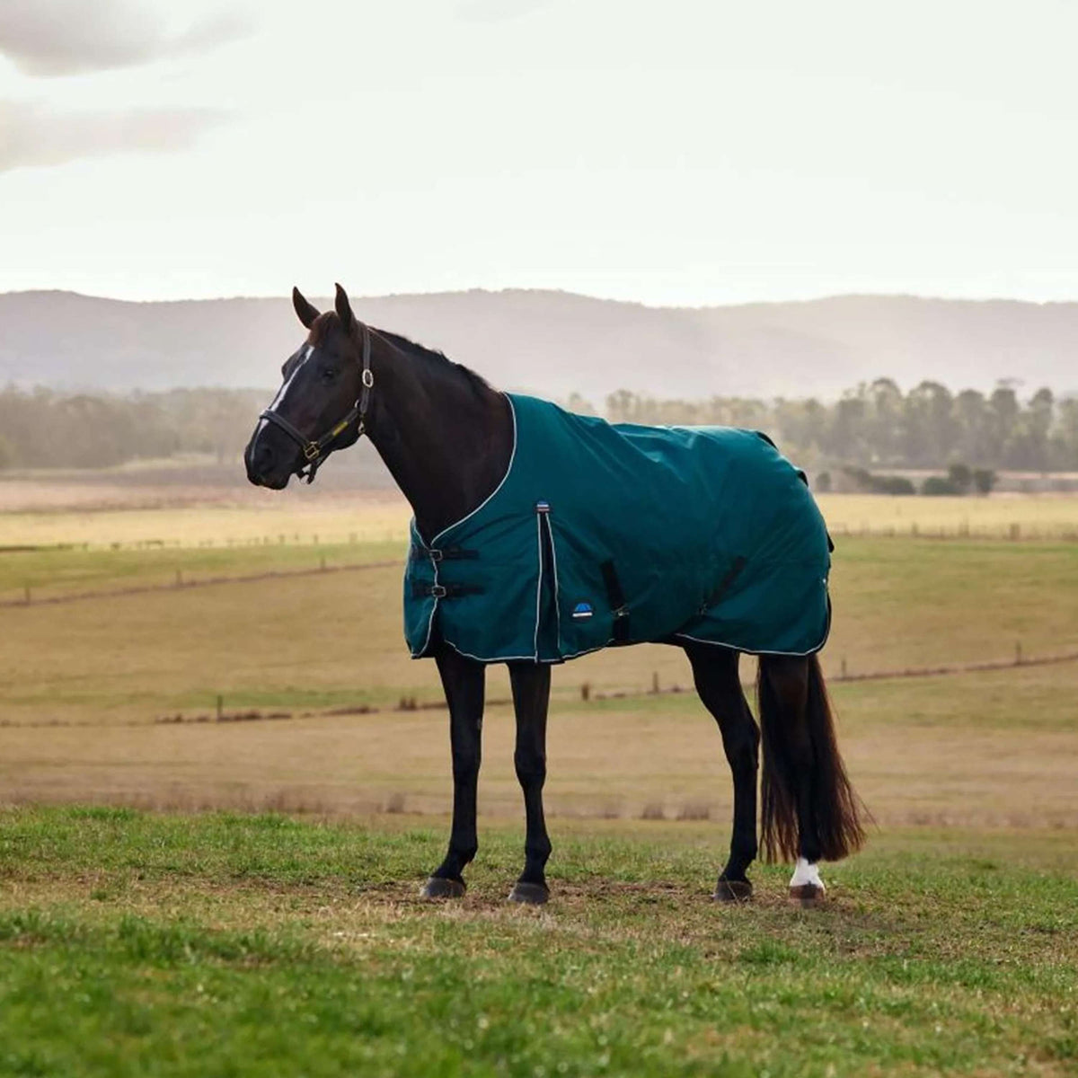 WeatherBeeta ComFiTec Classic Turnout 50g Forest Green/Black