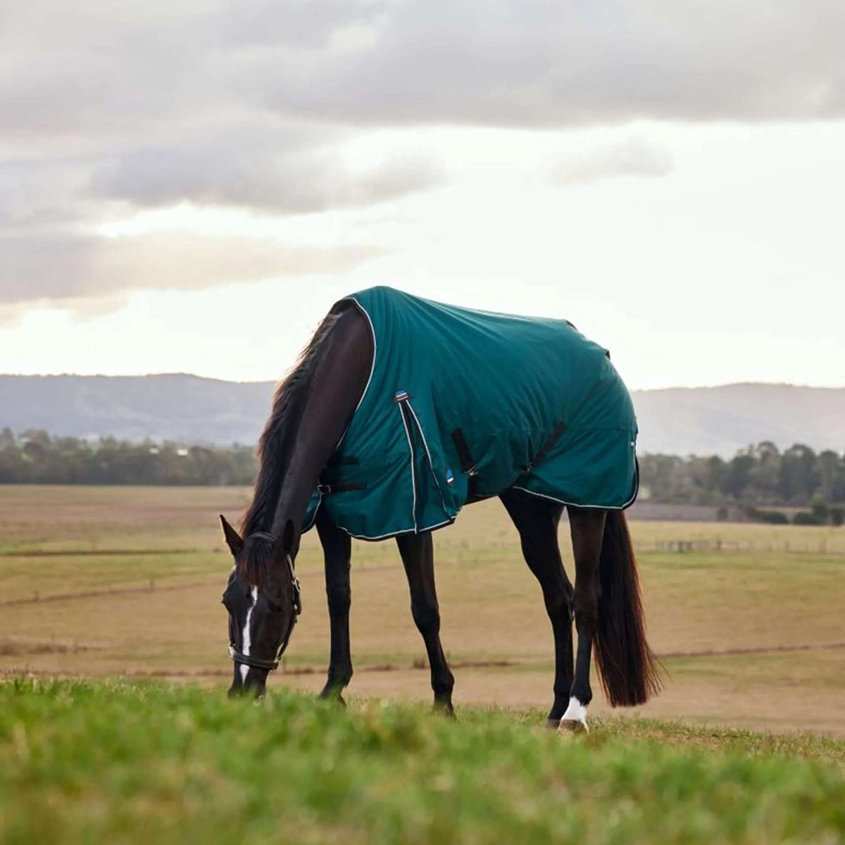 WeatherBeeta ComFiTec Classic Turnout 50g Forest Green/Black