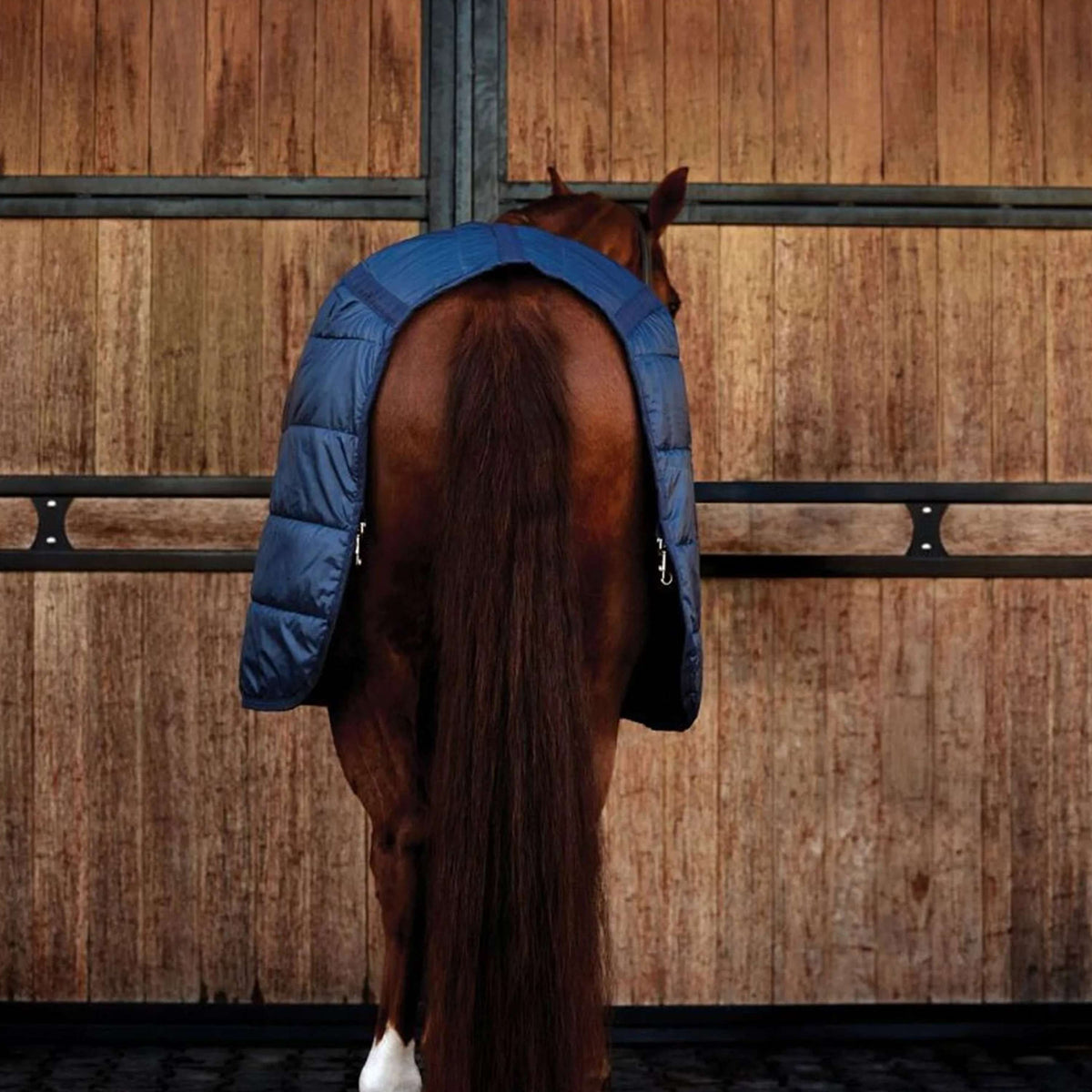 WeatherBeeta Couverture ComFiTec 100g Marin