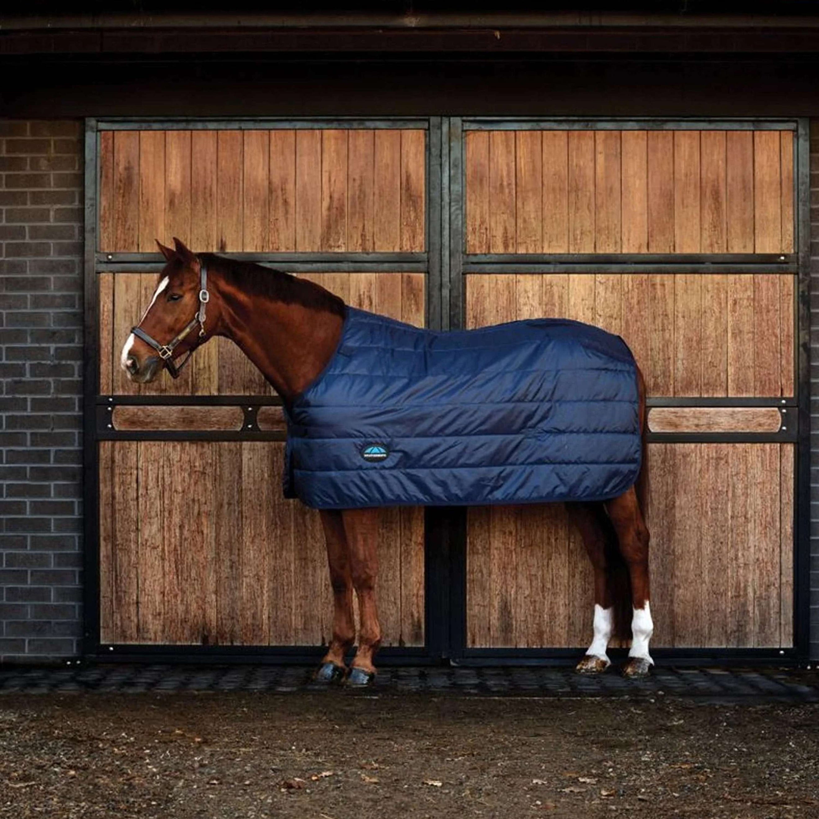 WeatherBeeta Couverture ComFiTec 100g Marin