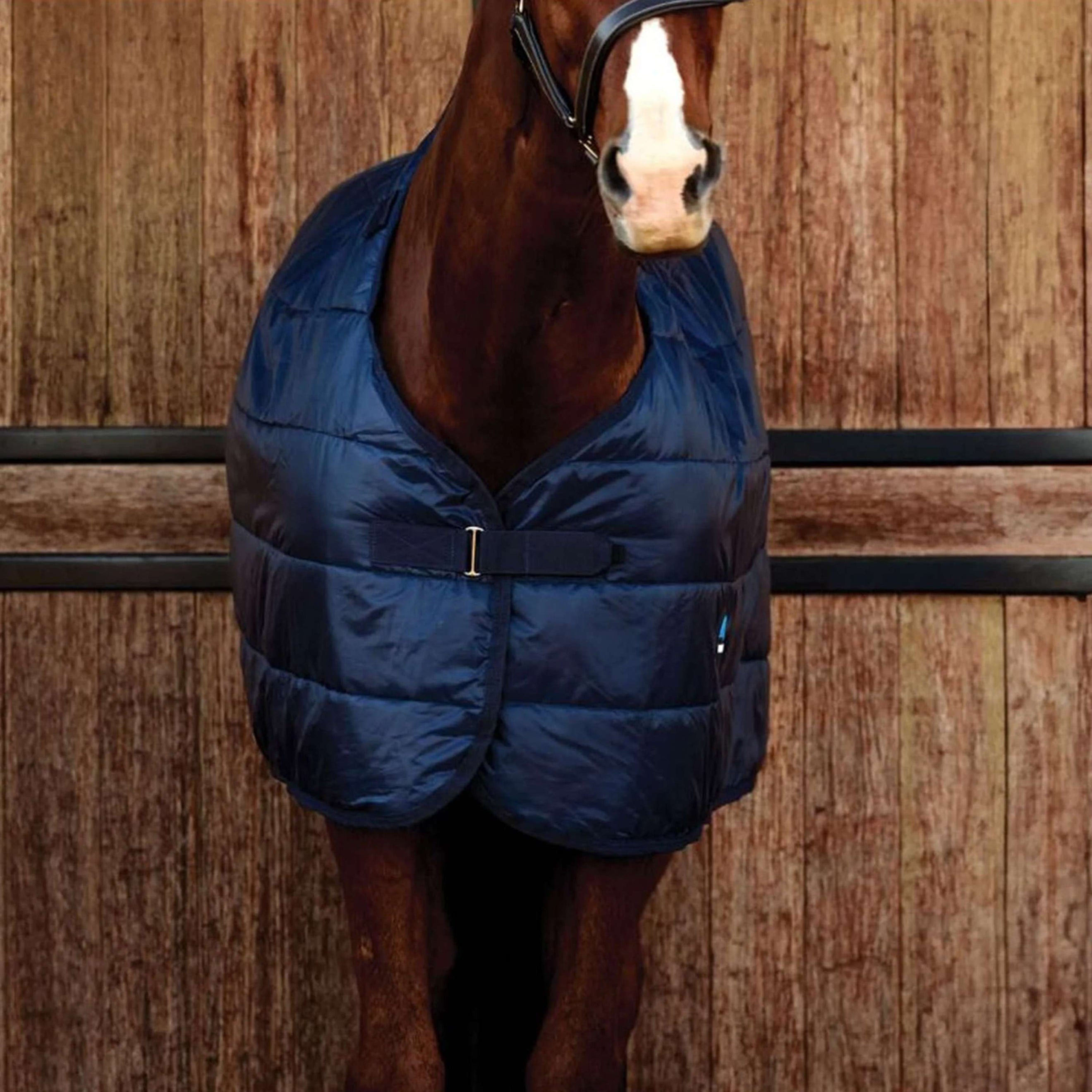 WeatherBeeta Couverture ComFiTec Thermi-Heat 100g Marin WeatherBeeta Couverture ComFiTec Thermi-Heat 100g Marin