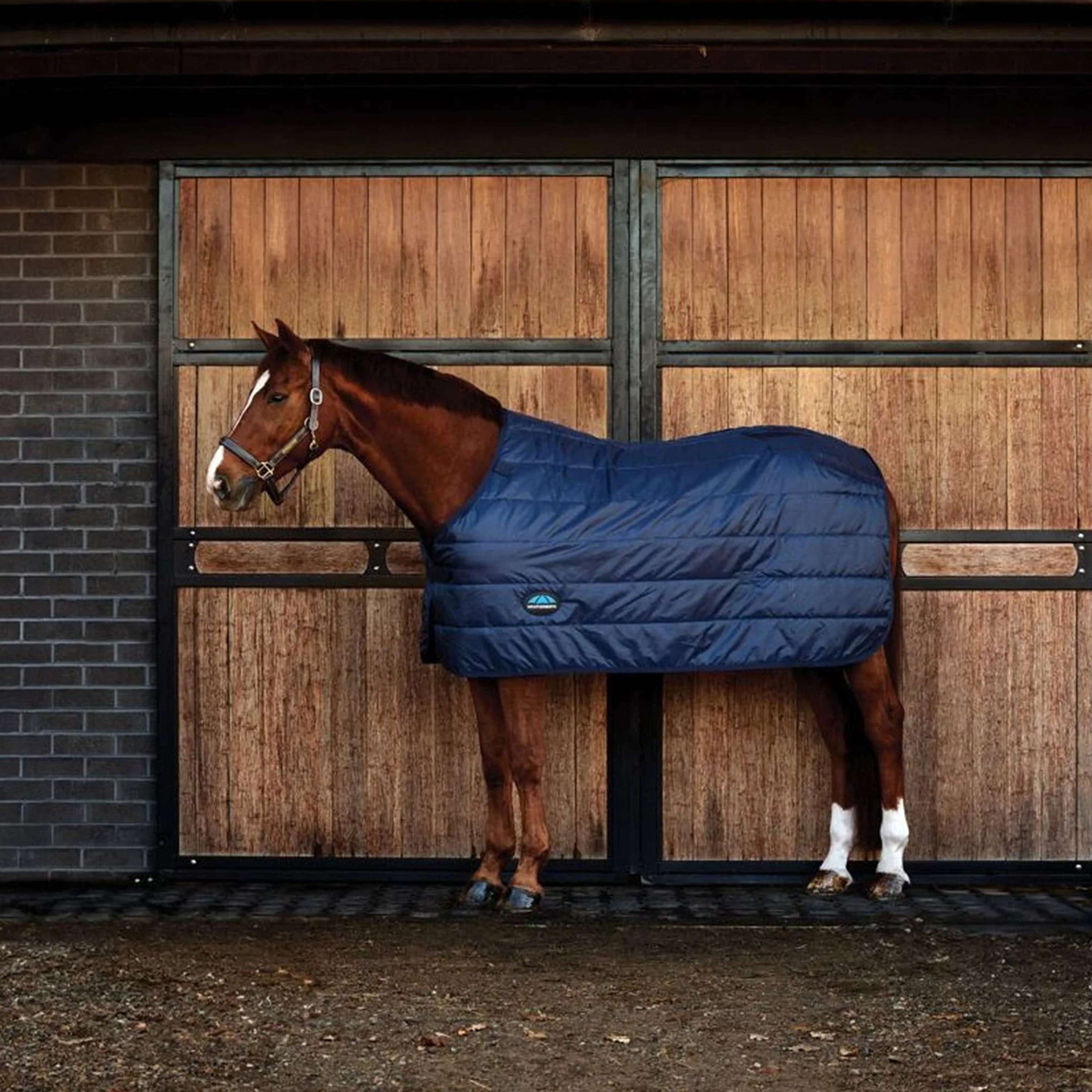 WeatherBeeta Couverture ComFiTec Thermi-Heat 100g Marin