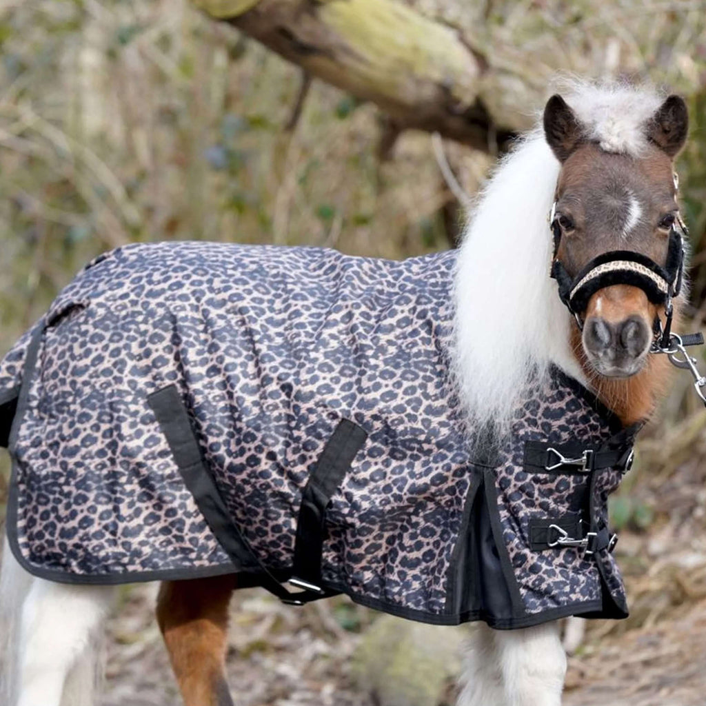 HB Couverture d'Extérieur Leopard Poney 0g Léopard