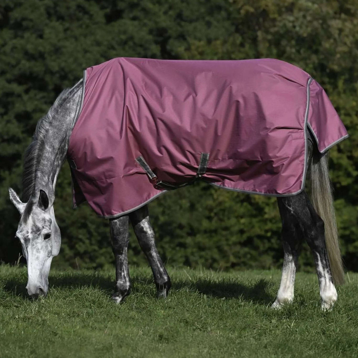 Bucas Couverture d'exterieur 300g Framboise