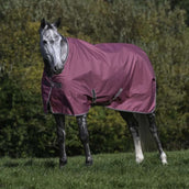 Bucas Couverture d'exterieur 300g Framboise