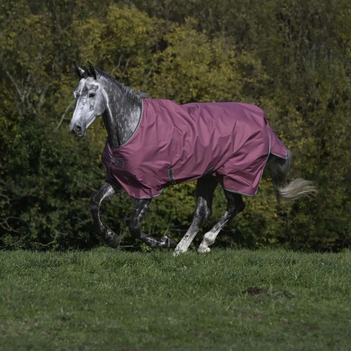 Bucas Couverture d'exterieur 300g Framboise