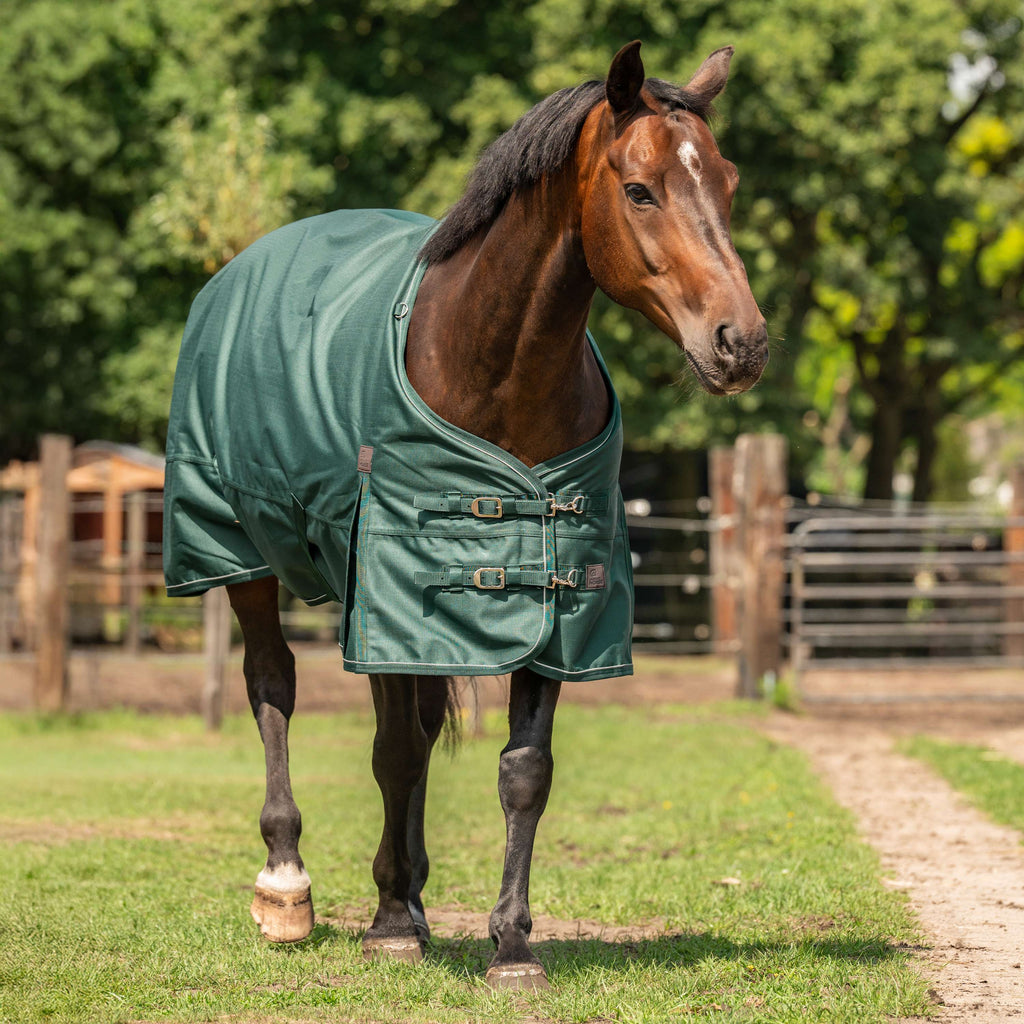 Agradi Horse Couverture d'Extérieur 1200D 50gr Bande Réfléchissante Vert