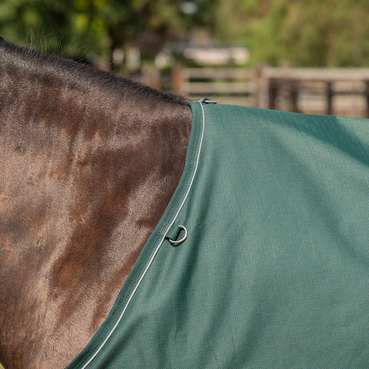 Agradi Horse Couverture d'Extérieur 1200D 300gr Bande Réfléchissante Vert