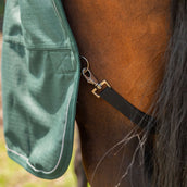 Agradi Horse Couverture d'Extérieur 1200D 300gr Bande Réfléchissante Vert