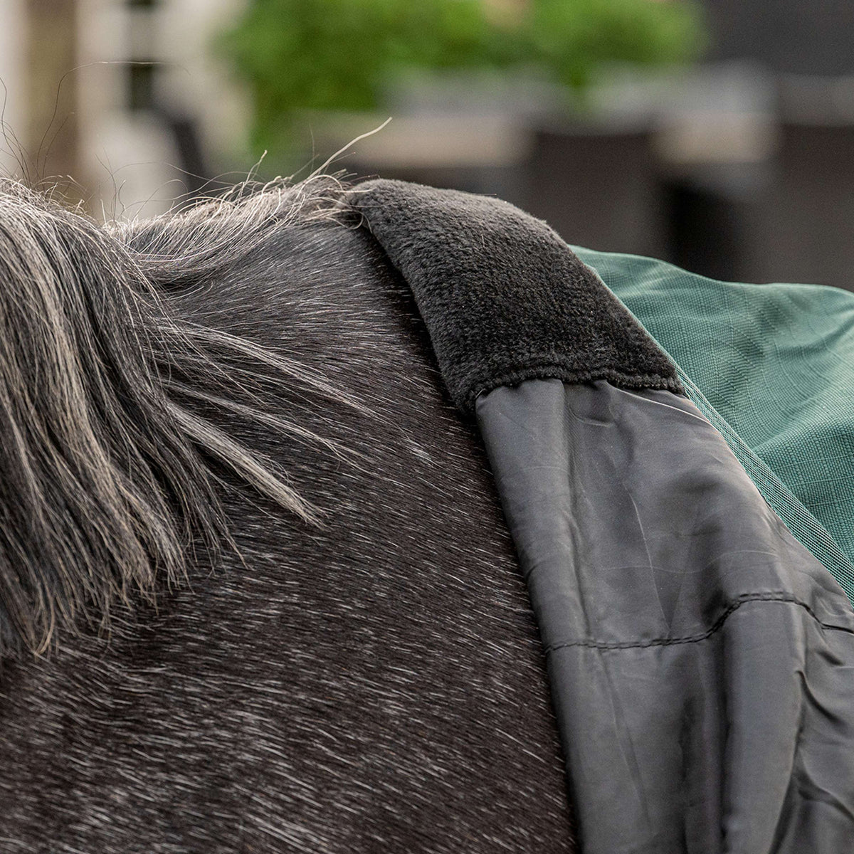 Agradi Horse Couverture d'Extérieur 1200D 300gr Bande Réfléchissante Vert