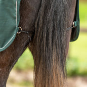 Agradi Horse Couvre-reins 1200D Bande Réfléchissante Vert