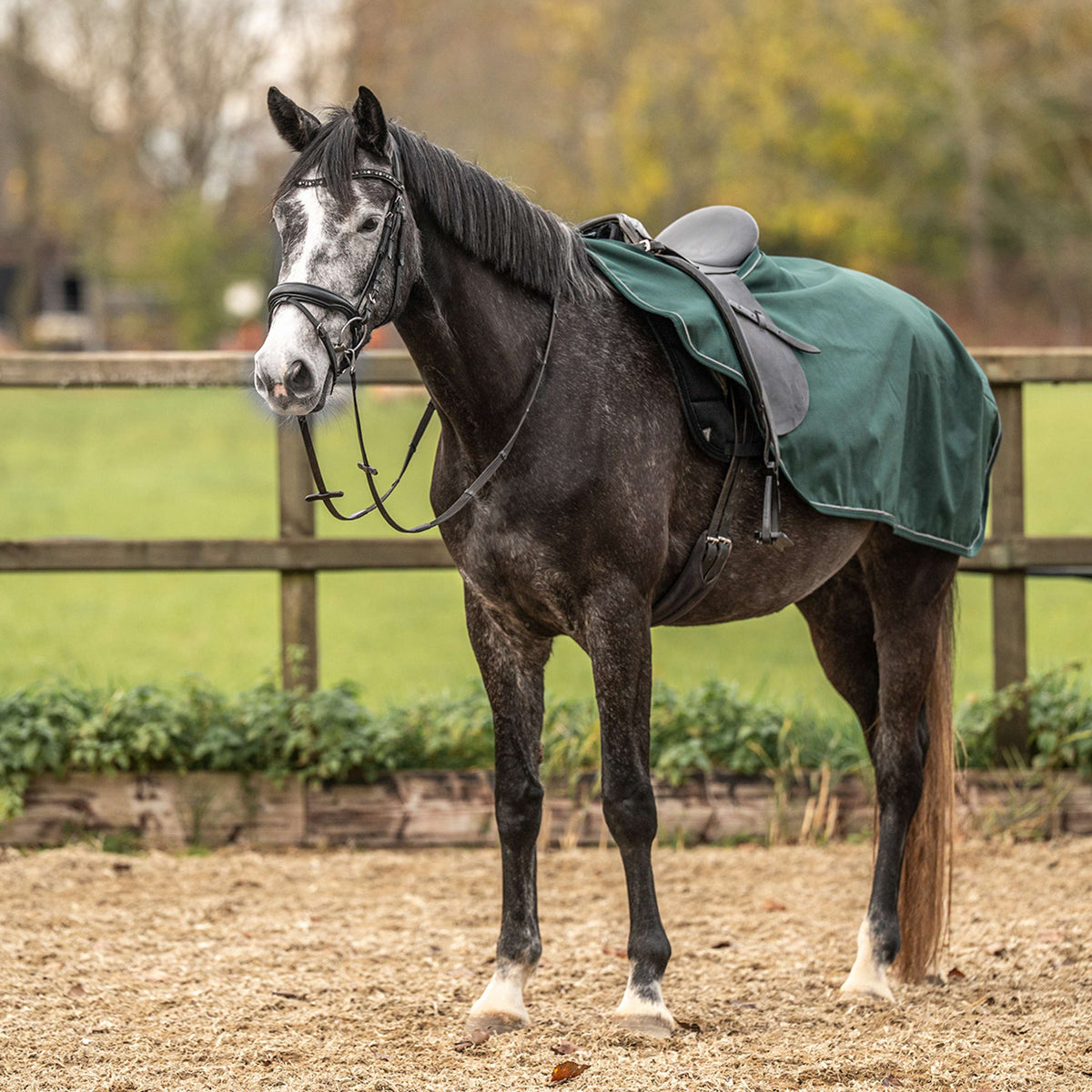 Agradi Horse Couvre-reins 1200D Bande Réfléchissante Vert