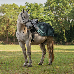 Agradi Horse Couvre-reins 1200D Bande Réfléchissante Vert Agradi Horse Couvre-reins 1200D Bande Réfléchissante Vert