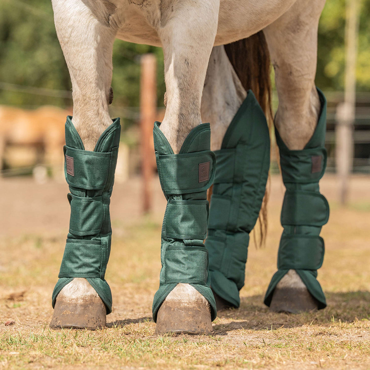 Agradi Horse Guêtres de Transport 1200D Vert