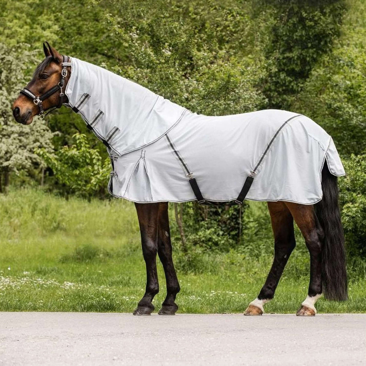 Waldhausen Couverture Anti-Mouches Protect avec Cou Indépendant Gris argenté/Gris