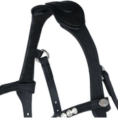 Kavalkade Bride Caliano Via Noir/Argent