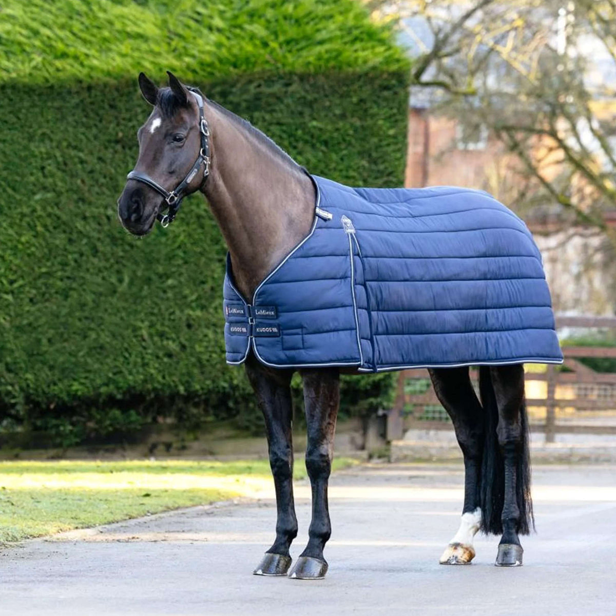 LeMieux Couverture Kudos 350g Marin
