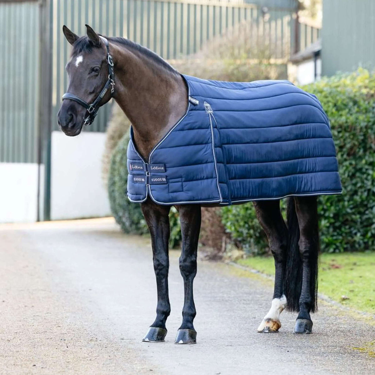 LeMieux Couverture Kudos 350g Marin