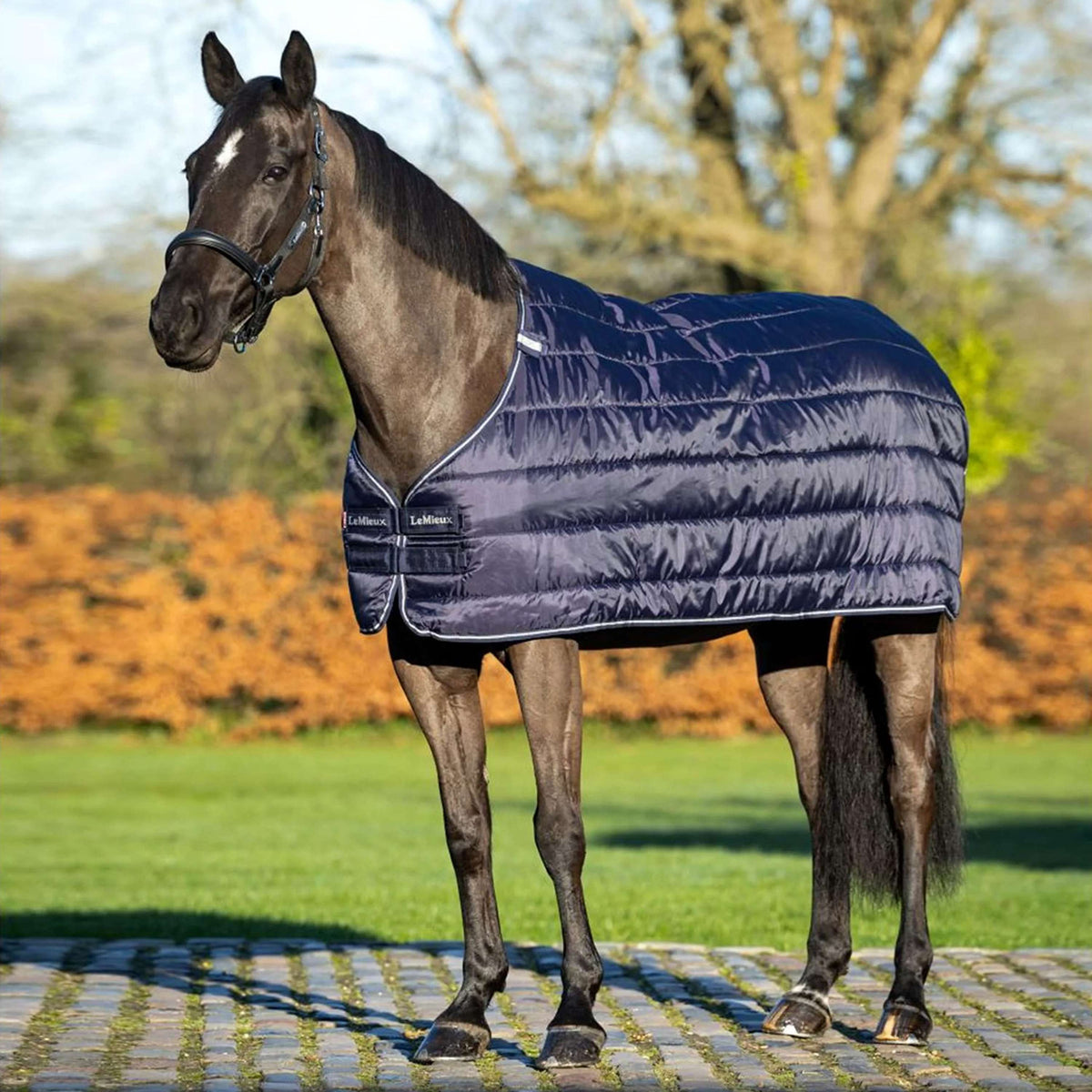 LeMieux Couverture 50g Marin