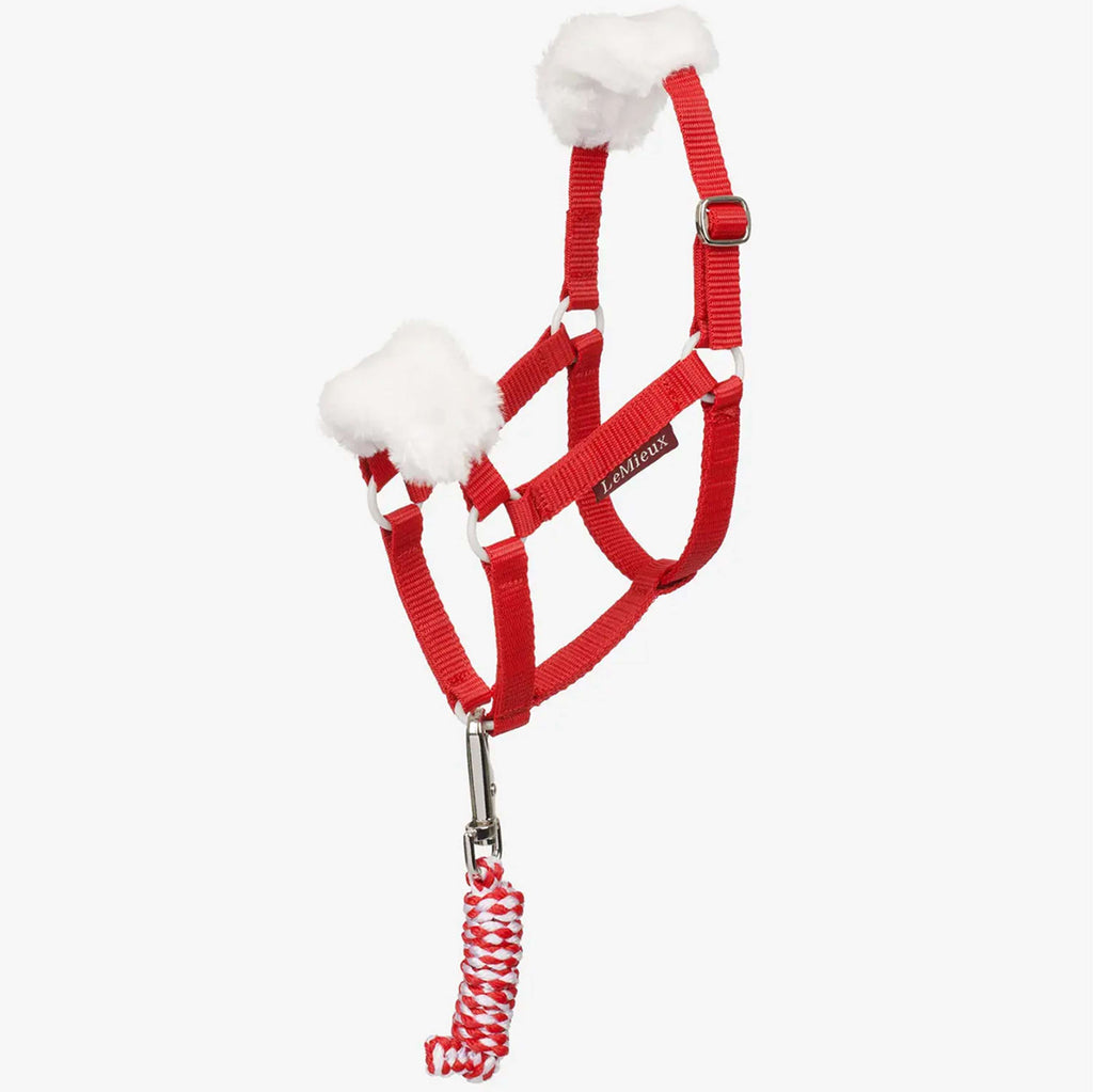 LeMieux Hobby Horse Christmas Headcollar & Leadrope Rouge