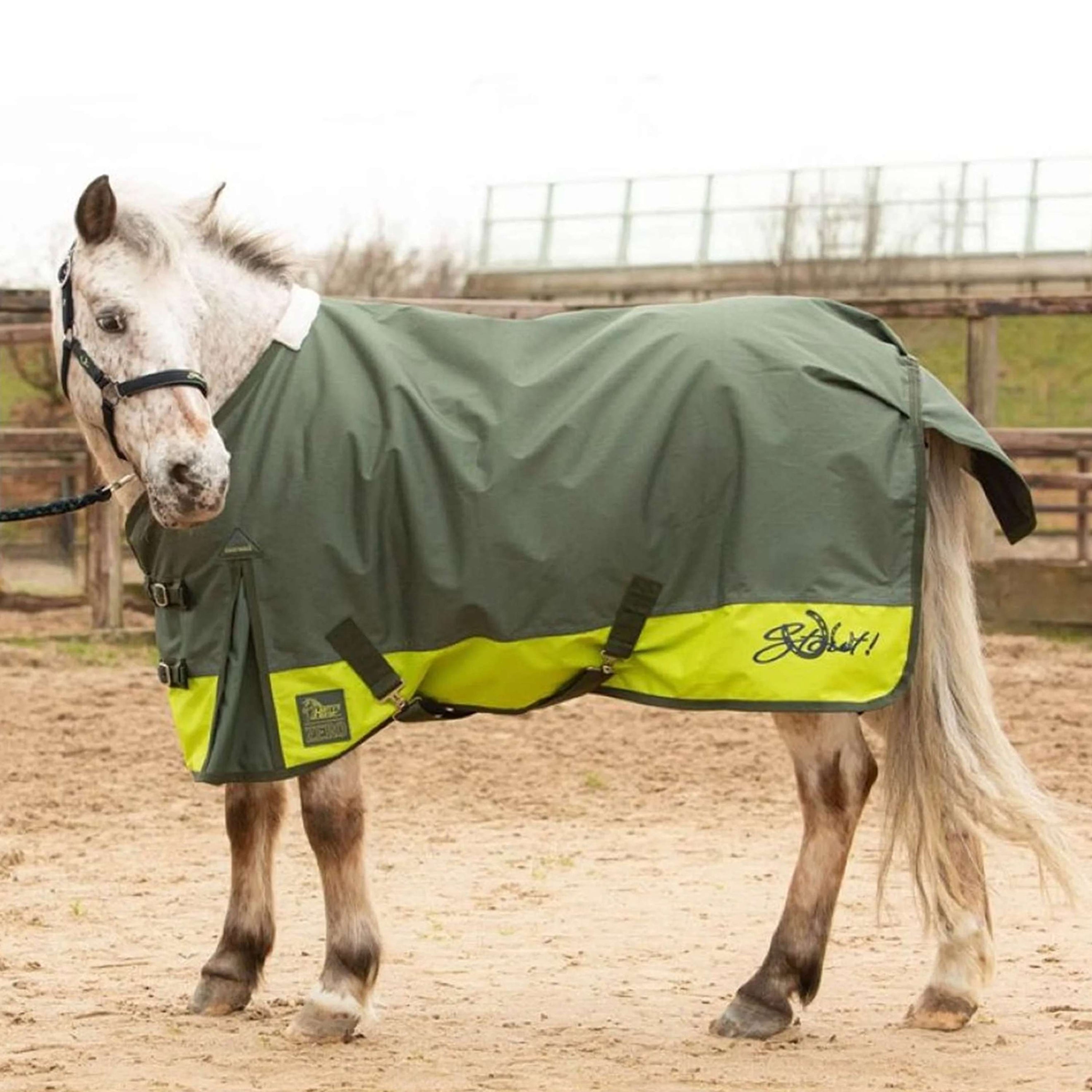 Harry's Horse Couverture Imperméable STOUT! Lime 0g Armée Verte