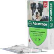 Advantage 250 Spot-On Chien 10-25 Kg