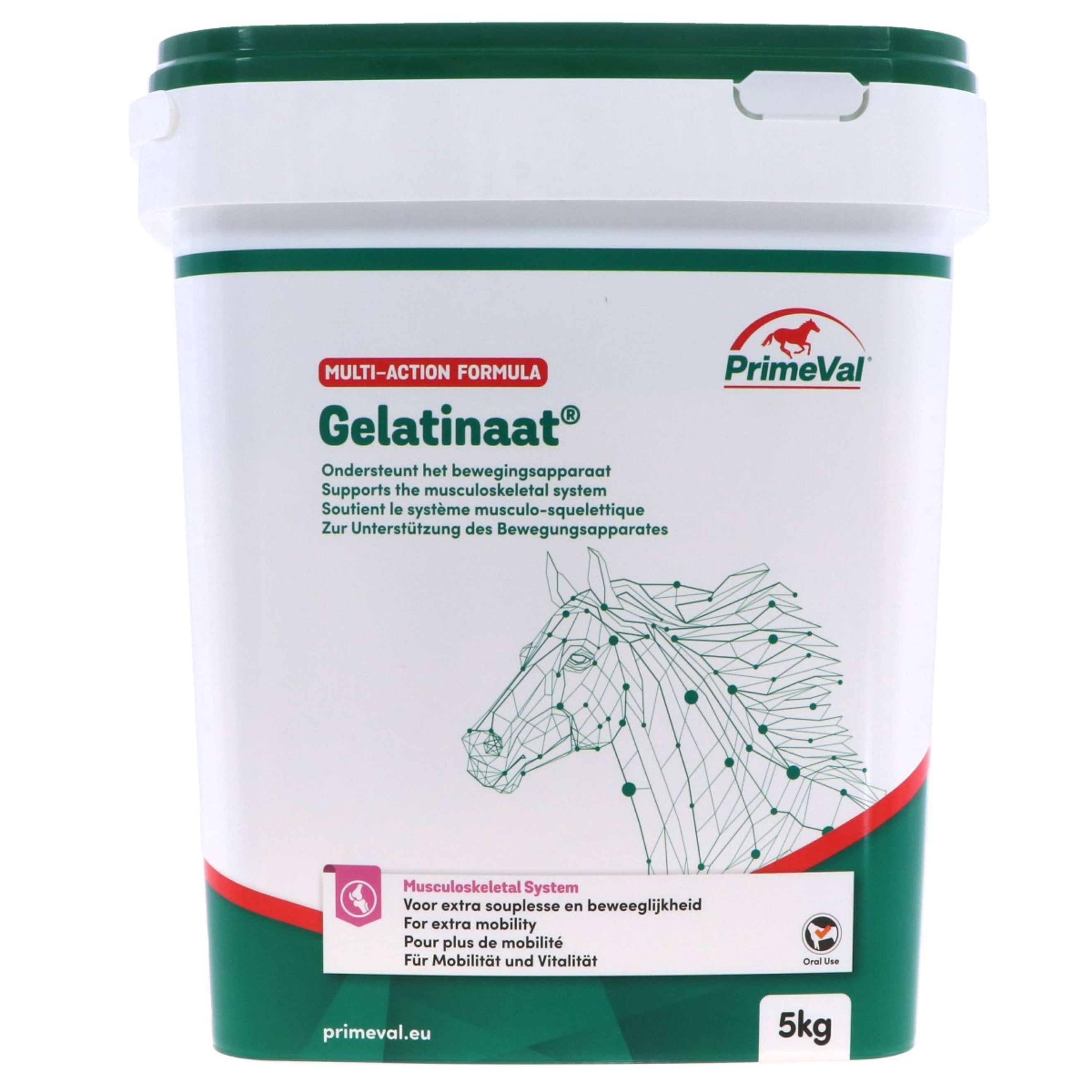 Primeval Gelatinate Cheval