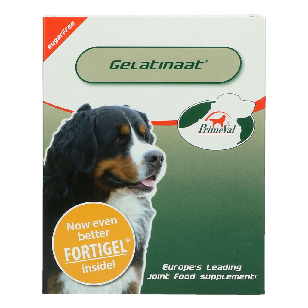 Primeval Gelatinate Chien