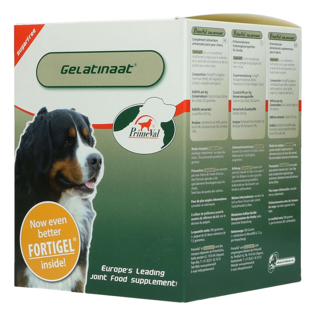 Primeval Gelatinate Chien