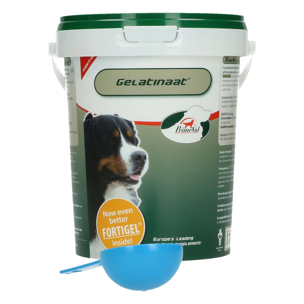 Primeval Gelatinate Chien