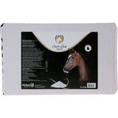 Excellent Salt Lick Horse Pierre à Lécher