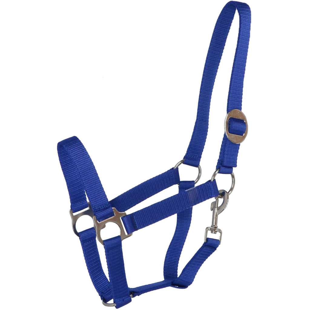 Premiere Licol Standaard Poly Bleu