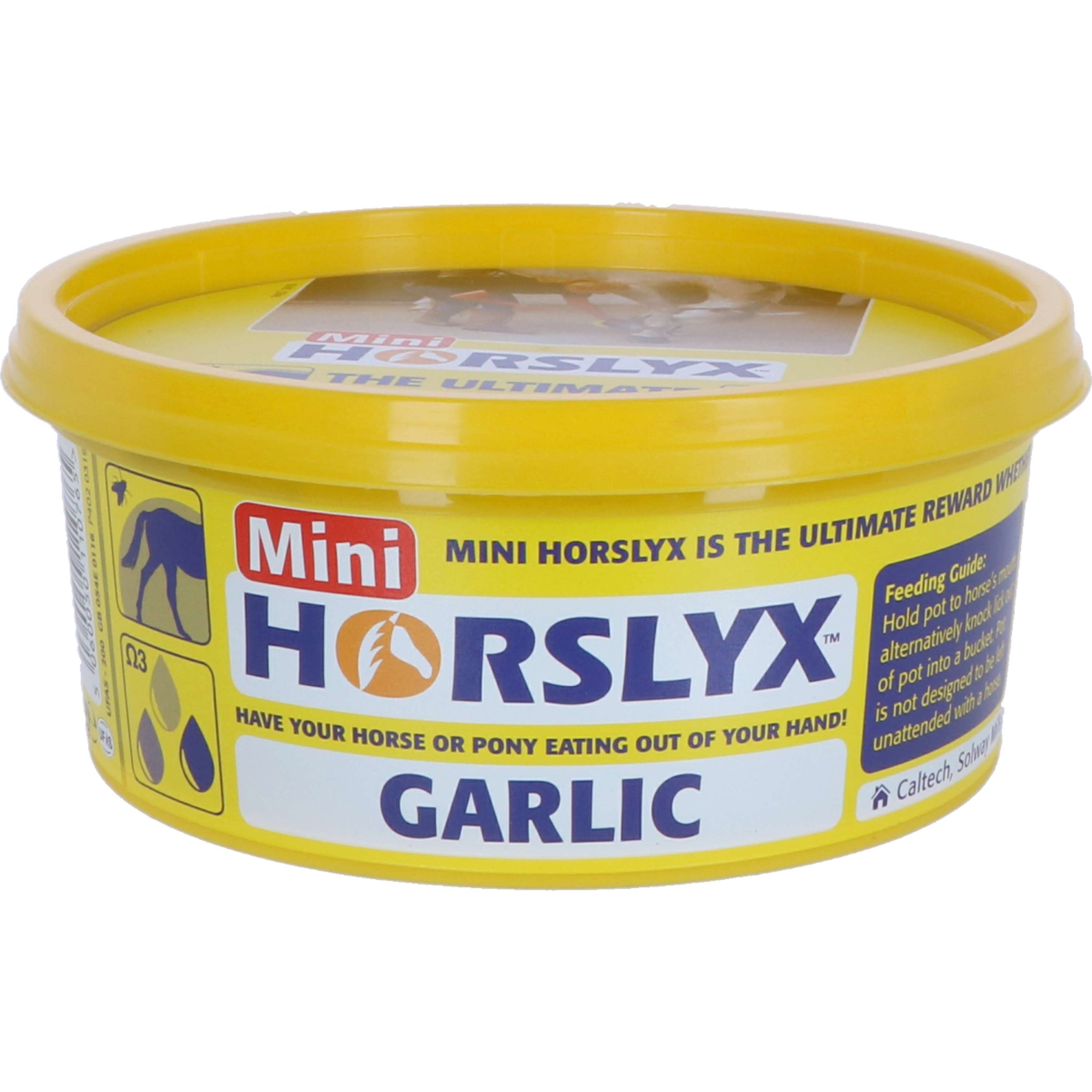 Horslyx Pierre à Lécher Garlic