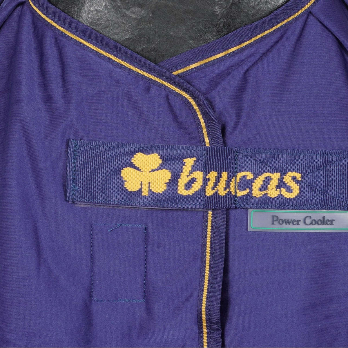 Bucas Prize Cooler Marine/gold Bucas logo