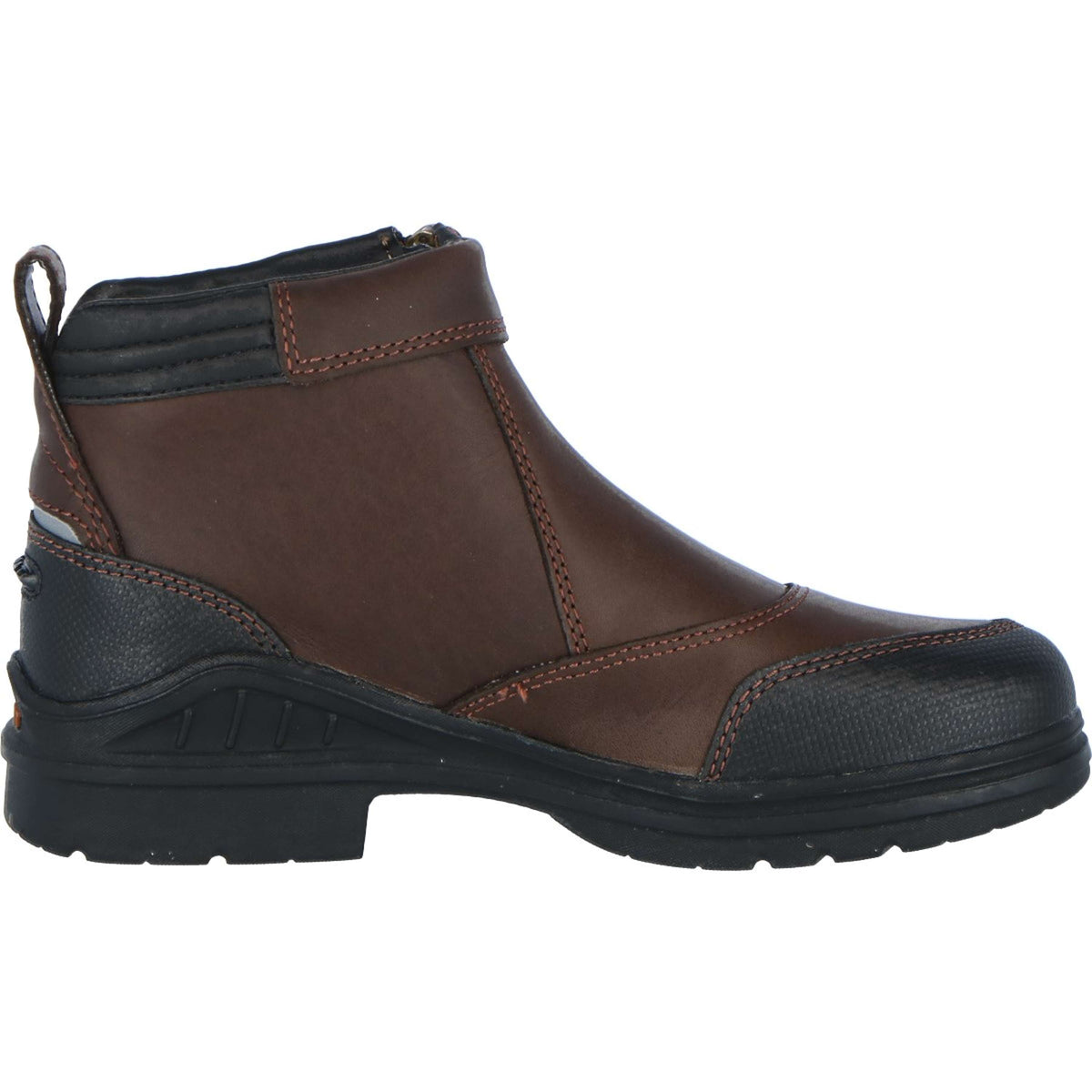 Ariat Chaussures d'Écurie Barnyard Side Zip Marron foncé