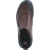 Ariat Chaussures d'Écurie Barnyard Side Zip Marron foncé