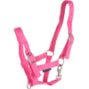 Harry's Horse Licol pour Poulain Rose clair