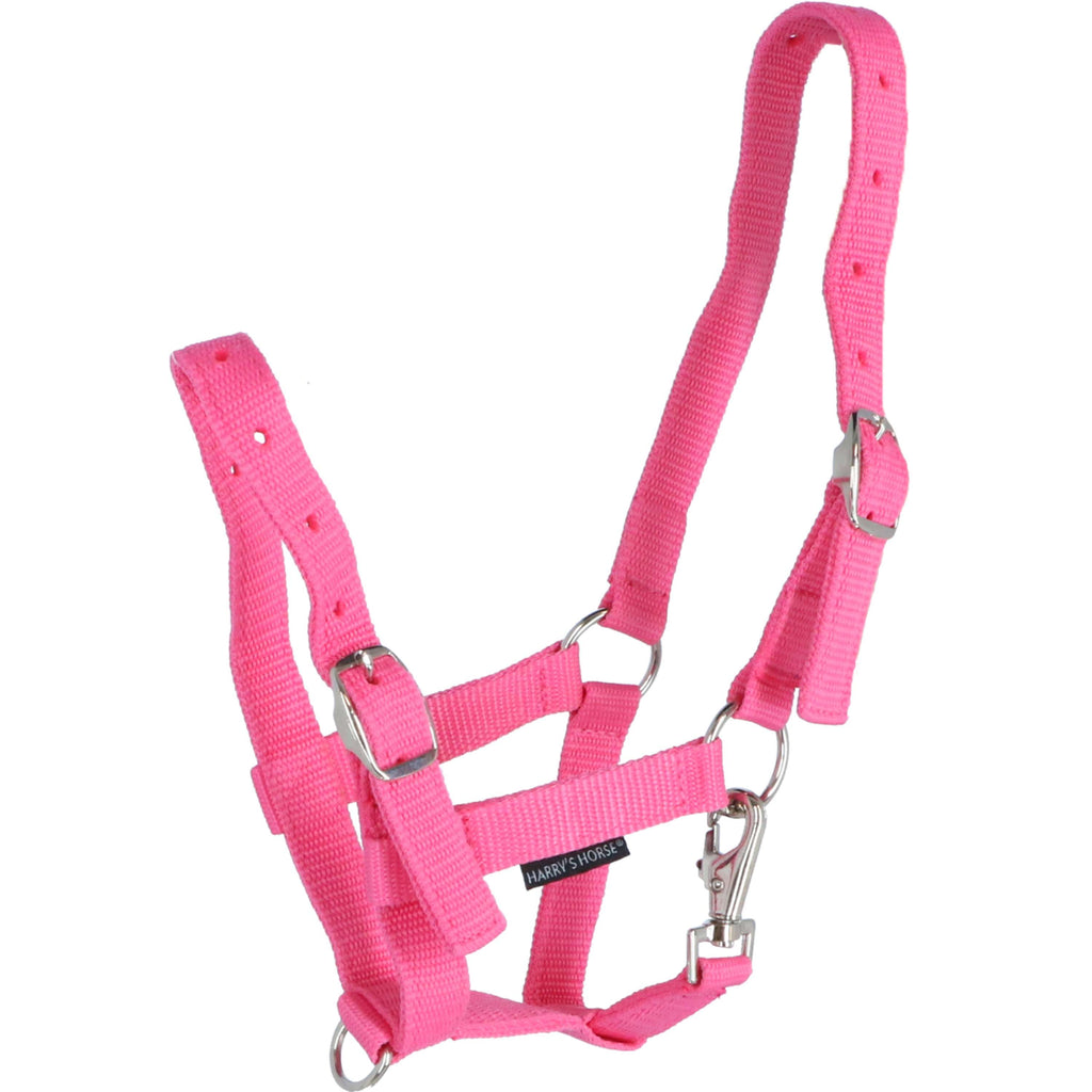 Harry's Horse Licol pour Poulain Rose clair